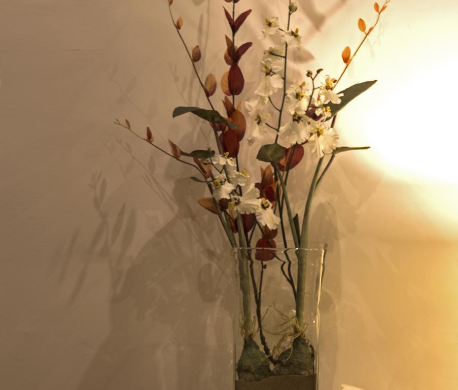 Three Cities Apartments Cospicua 외부 사진